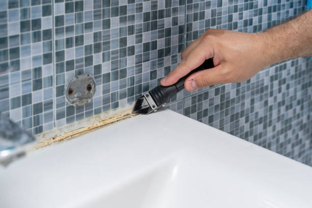 Best Emergency Mold Remediation in Gloverville, SC