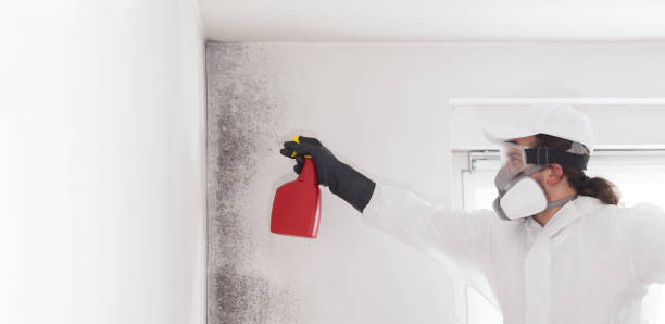 Best Mold Testing and Inspection Services in Gloverville, SC