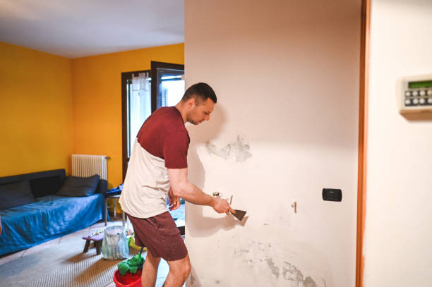 Best Black Mold Remediation in Gloverville, SC